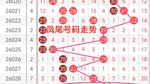第2026049期 大乐透2026049期专家推荐质合分析及