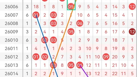 大乐透021期专家质合分析推荐前区胆码：06 21 23